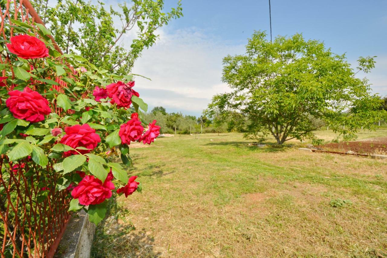 Apartmani Maca Sikovo Buitenkant foto